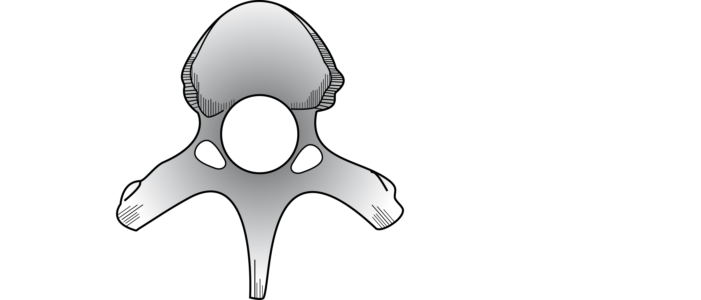 ATStill Logotipo