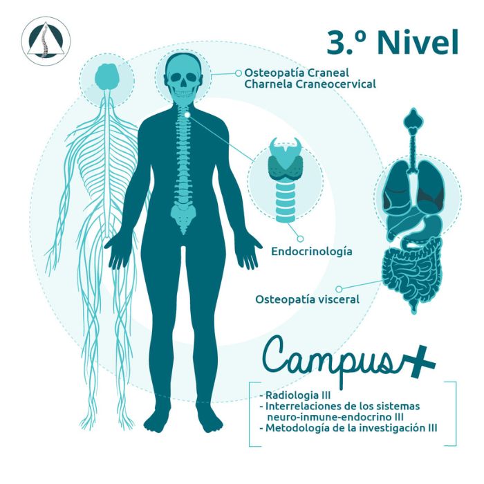 3-nivel-osteopatia-EOM-Formacion