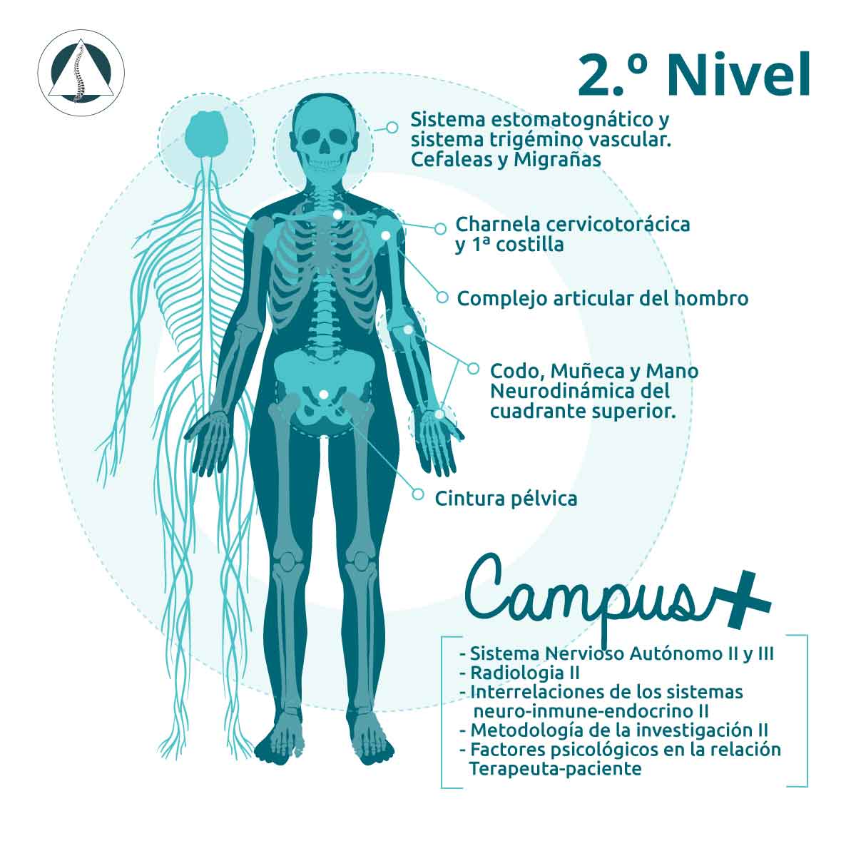 2-nivel-osteopatia-EOM-Formacion